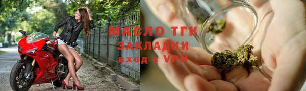 крисы Каменка