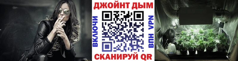 Бошки Шишки Amnesia  магазин  наркотиков  Бор 